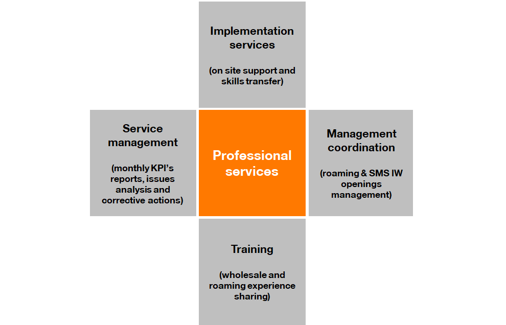professional-services2