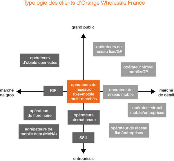 Tyoplogie des clients d'Orange Wholesale France