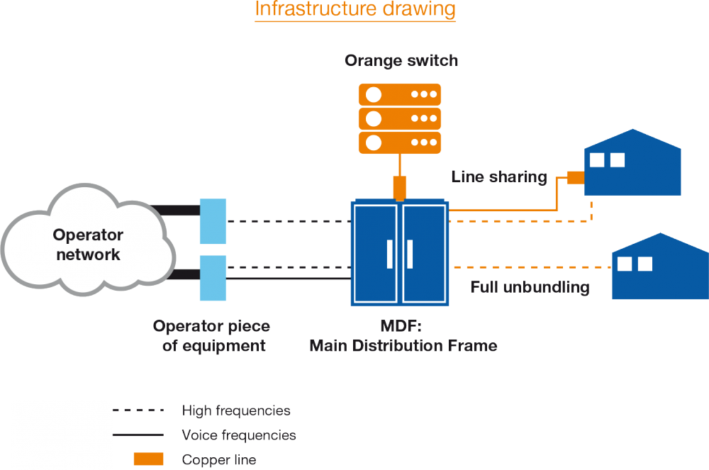 Full/Partial Access Schema